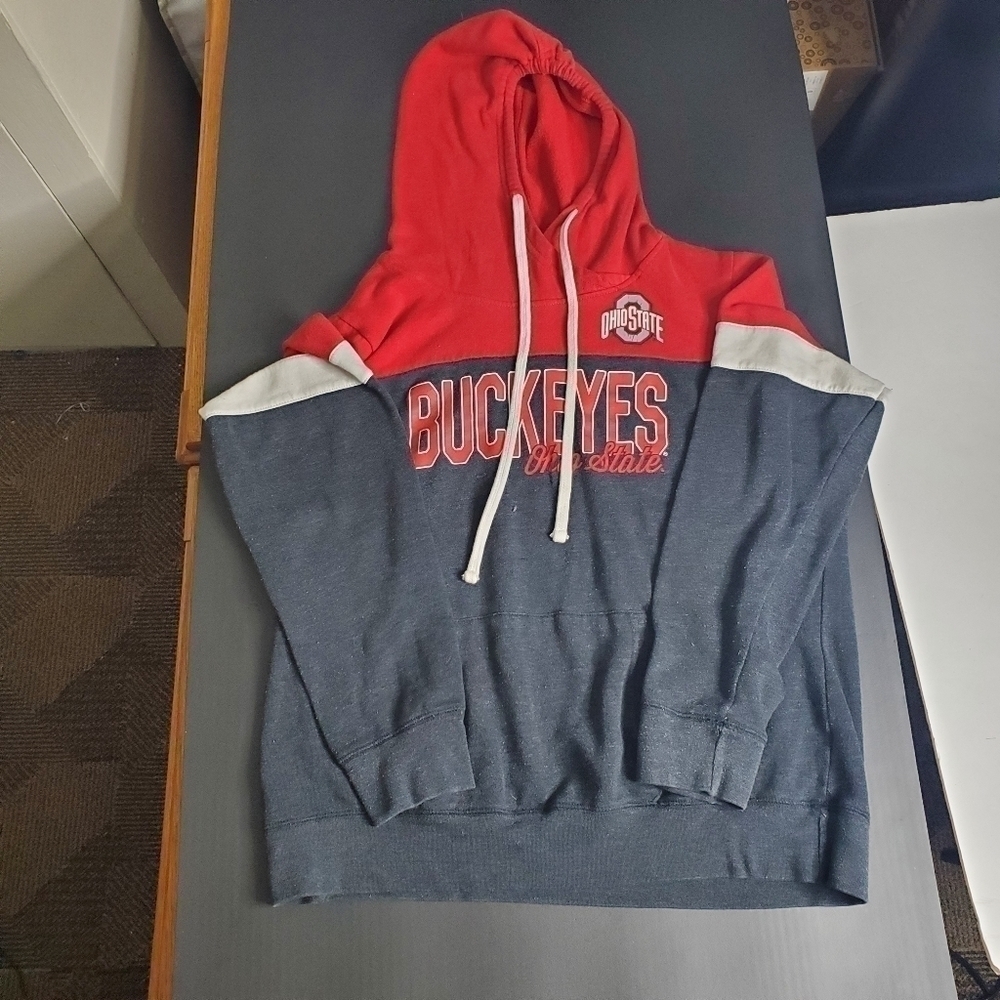 Ohio State Authentic Apparel  Hoodie Men's Large - Picture 2 of 7